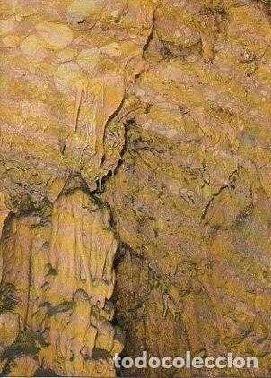 Postais: POSTAL PV00308: Fantasia de estalactitas en Coves del Salnitre-Collbato, Barcelona - NULL