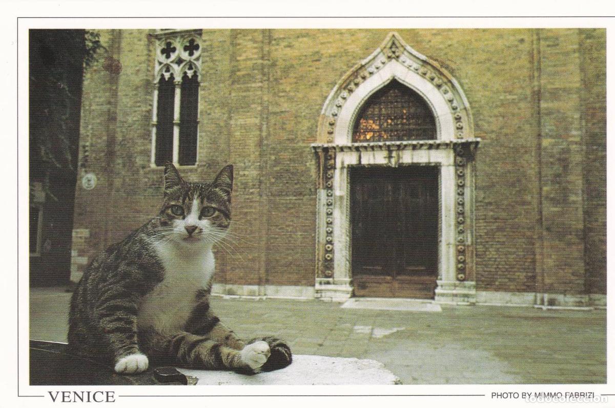 Postais: POSTAL B13113: VENECIA: VISTA PANORAMICA - NULL