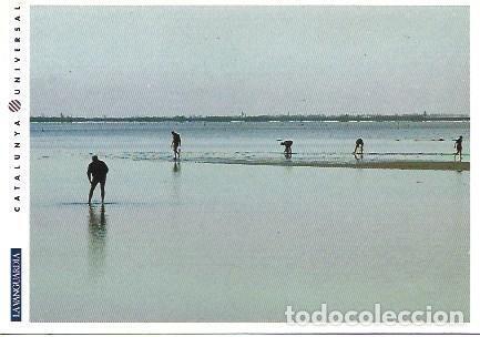 Postais: POSTAL L01172 Mariscadores en el Delta del Ebro, Tarragona - NULL