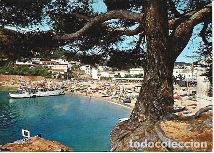 Postales: POSTAL L01324: Playa de Tamariu, Girona