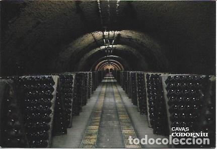 Postales: POSTAL PUBLICITARIA L00945: Cavas Codorniu - NULL
