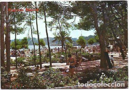 Postkarten: POSTAL L00915: Palma Nova en Mallorca - NULL