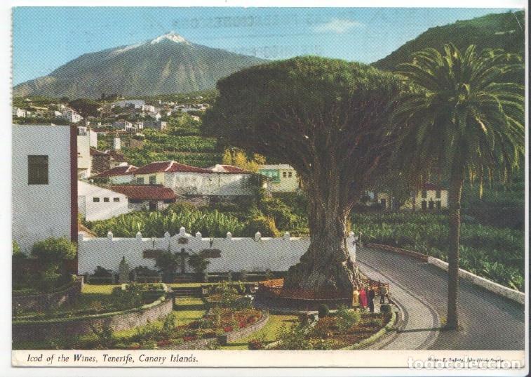 Postkarten: Postal JC0554: Icod of the Wine. Tenerife, Canary, Islands - NULL