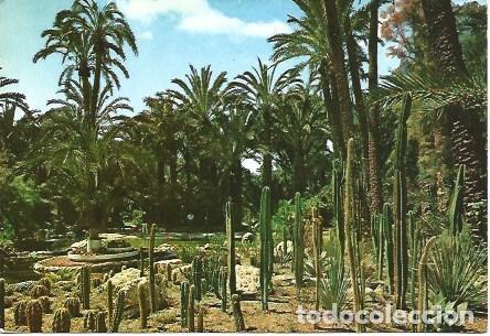 Postkarten: POSTAL L02598: Elche. Huerto del Cura