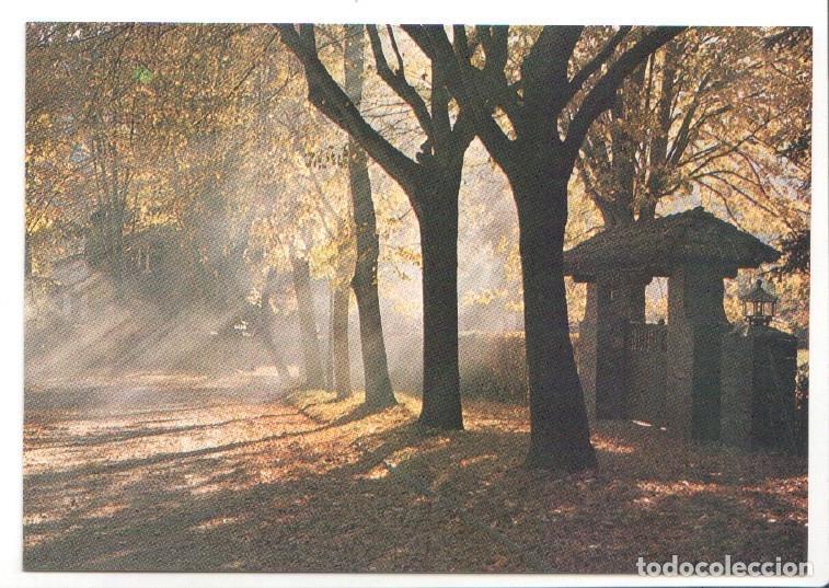 Postais: Postal JC0953: Camprodon (Girona). Passeig Maristany - NULL