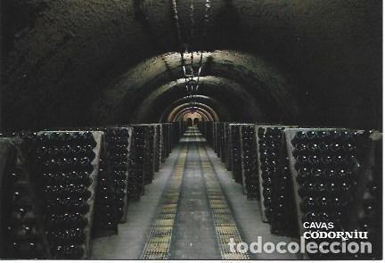 Postales: POSTAL PUBLICITARIA L01966: Cavas Codorniu. Interior - NULL