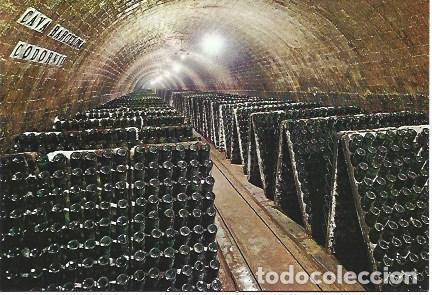 Postales: POSTAL PUBLICITARIA L01965: Cavas Codorniu. Botellas en pupitre - NULL