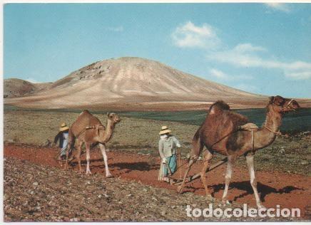 Postales: Postal E00808: Arada, Lanzarote - Varios - Foto 1