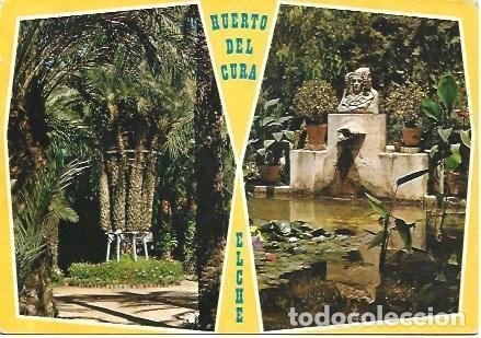 Postcards: POSTAL L03135: La Palmera Imperial en Elche, Alicante - NULL