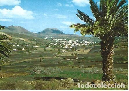 Cartes Postales: POSTAL L03377: Valle de las Palmeras en Haria, Lanzarote - NULL