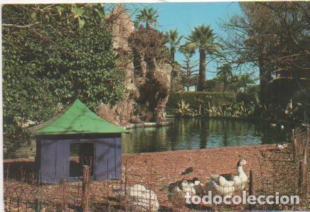 Postkarten: Postal E00499: Cascada parque del Genov&eacute;s, C&aacute;diz - Varios
