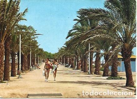 Postais: POSTAL L02699: Paseo de Calella de Mar, Barcelona - NULL