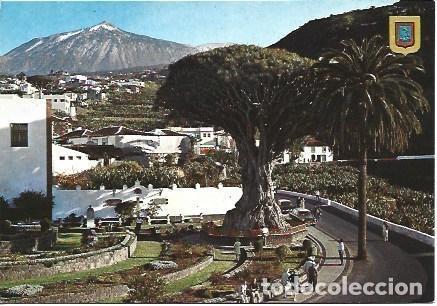 Postcards: POSTAL L03056: El Drago milenario en Tenerife - NULL