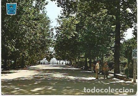 Cartoline: POSTAL L03081: Alameda Jose Antonio en Ronda - NULL