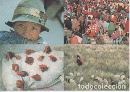 Postcards: Postal E02303: Im&aacute;genes de Ecuador - Varios