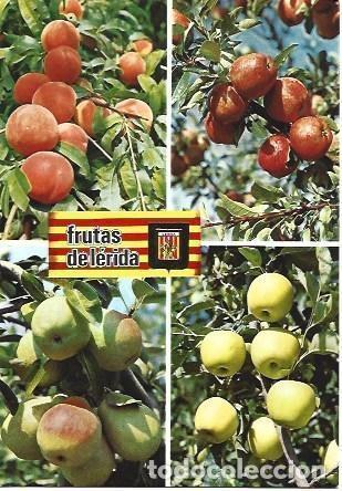 Postales: POSTAL L02960: Frutas de Lleida