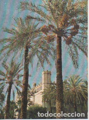 Cartoline: Postal E02448: Paseo Sagrera y Lonja, Palma de Mallorca - Varios