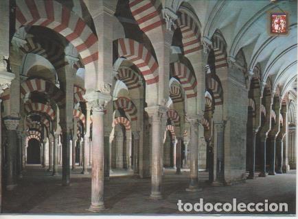 Postkarten: Postal E06913: C&oacute;rdoba. Mezquita Catedral. Laberinto de Columnas - Varios