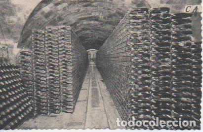 Postales: Postal E06942: Postal B/N Casa Codorniu-San Sadurn&iacute; de Noya (Espa&ntilde;a). Botellas en Cava - Varios