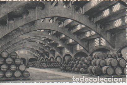Postales: Postal E06937: Postal B/N. Casa Codorniu- San Sadurn&iacute; de Noya (Espa&ntilde;a). Una Bodega - Varios