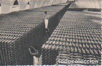 Postales: Postal E06941: Postal B/N Casa Codorniu- San Sadurn&iacute; de Noya (Espa&ntilde;a). Una bodega en invierno - Vari