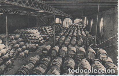 Postales: Postal E06936: Postal B/N. Casa Codorniu-San Sadurn&iacute; de Noya (Espa&ntilde;a). Una Bodega - Varios
