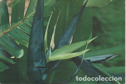 Postales: Postal E06659: Blanes. Costa Brava - Varios - Foto 1