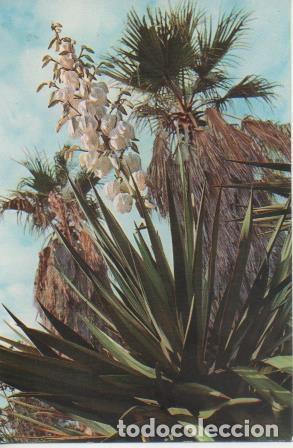 Postales: Postal E06660: Blanes. Jard&iacute;n Bot&aacute;nico - Varios - Foto 1