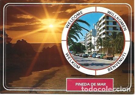 Postkarten: POSTAL L03763: Vista de Pineda de Mar - NULL