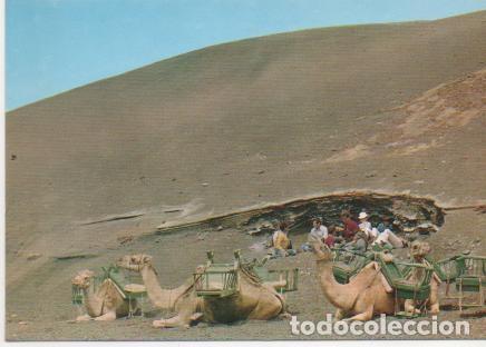 Postales: Postal E01896: Camellos, Isla de los Volcanes, Lanzarote - Varios - Foto 1