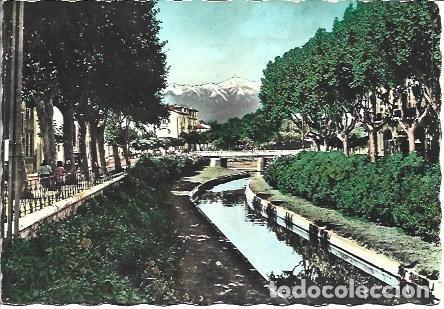 Postkarten: POSTAL L04241: Les Quais Fleurs en Perpi&ntilde;an