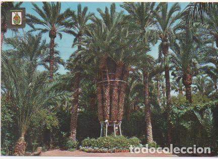 Postcards: Postal E01833: Palmera Imperial, Elche - Varios