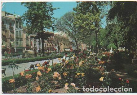 Cartoline: Postal E01832: Jardines de Floridablanca, Murcia - Varios