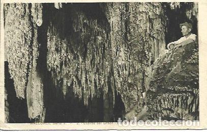 Postales: POSTAL L04577: Cuevas del Drach en Mallorca - Foto 1