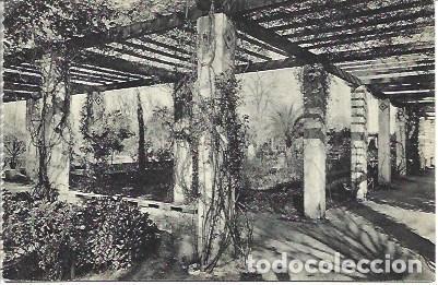 Postkarten: POSTAL L04673: Paseo de los Cipreses en el parque de Maria Luisa de Sevilla - NULL