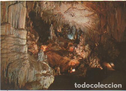 Postais: Postal E01009:Sala de los Fantasmas, Cuevas de Nerja, M&aacute;laga - Varios