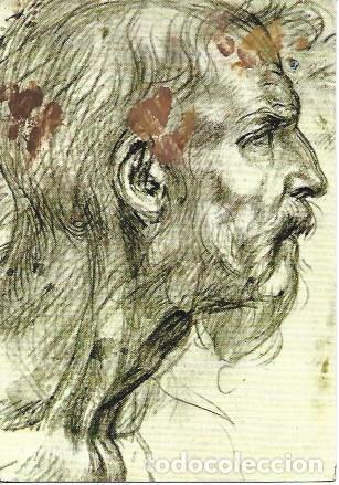 Cartoline: POSTAL L04825: Testa virile, por Andrea del Sarto