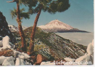 Postais: Postal E04025: Vista del Teide nevado, Tenerife - Varios