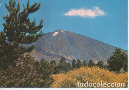 Cartoline: Postal E04173: El Teide, Tenerife - Varios