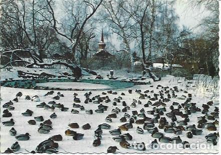 Postales: POSTAL L05624: Skasen, Estocolmo - Foto 1