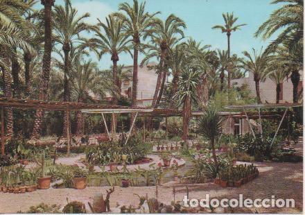 Postkarten: Postal E03726: Viveros-Huerto del Cura,Elche - Varios