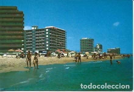 Postales: POSTAL L05649: Playa de Arenales del Sol en Elche - NULL