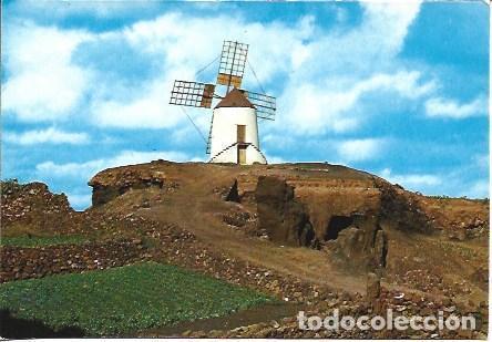 Postales: POSTAL L05415: Molino de Guatiza en Lanzarote - NULL