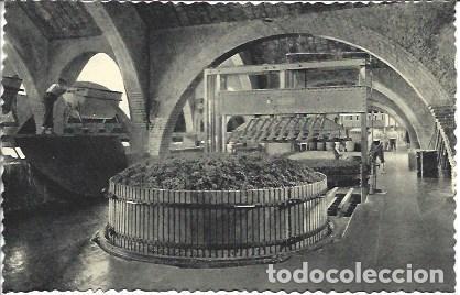 Postales: POSTAL L05383: Prensa de Cavas Codorniu - NULL