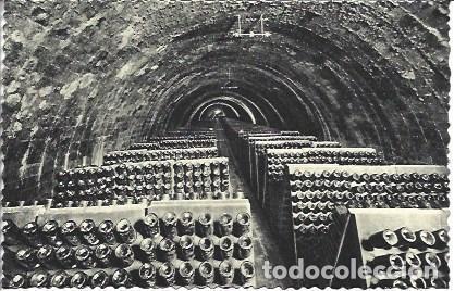 Postales: POSTAL L05380: Botellas en pupitres, Cavas Codorniu - NULL