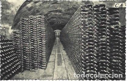 Postales: POSTAL L05389: Cavas Codorniu. Botellas en cava - NULL
