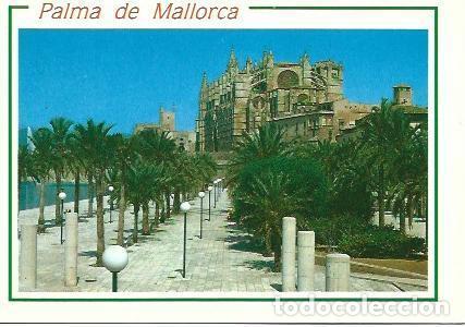 Cartoline: POSTAL L05558: Palma de Mallorca. Catedral