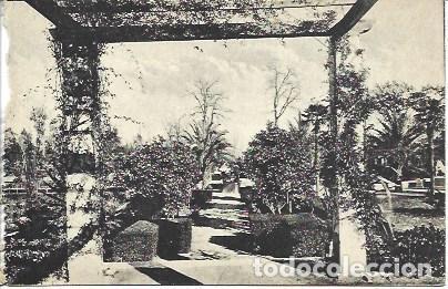 Cartoline: POSTAL L05566: Sevilla. Parque de Maria Luisa - NULL