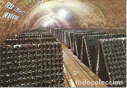 Postales: POSTAL L05535: Botellas en pupitre de las Cavas Codorniu - NULL