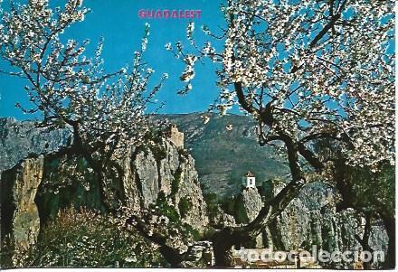 Postkarten: POSTAL L05975: Almendro en Castell de Guadalest, Alicante